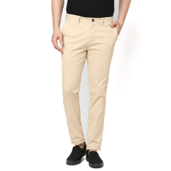 Beige Casual Pant