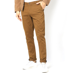Beige Casual Pant
